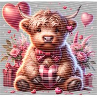 Valentine's Day-QRJ  5287